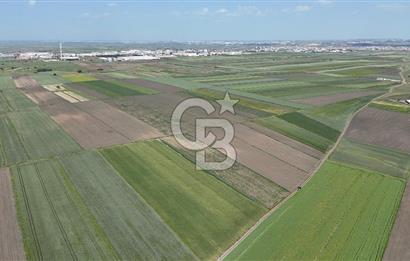 Ergene’de 10200m2 Satılık Tarla