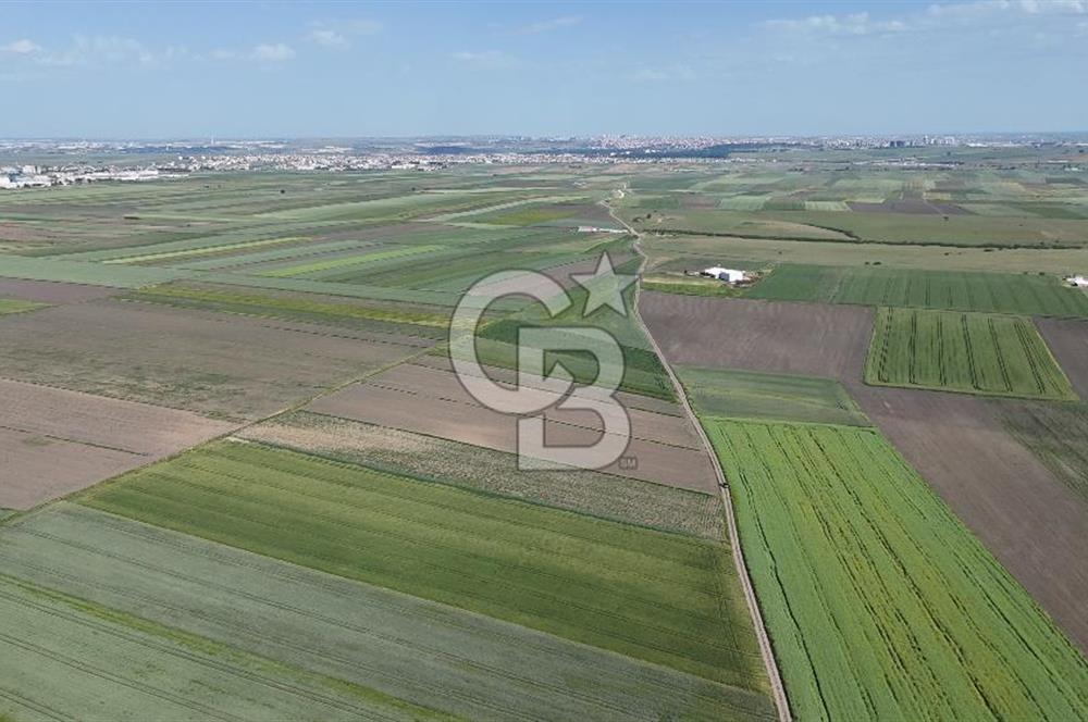Ergene’de 10200m2 Satılık Tarla
