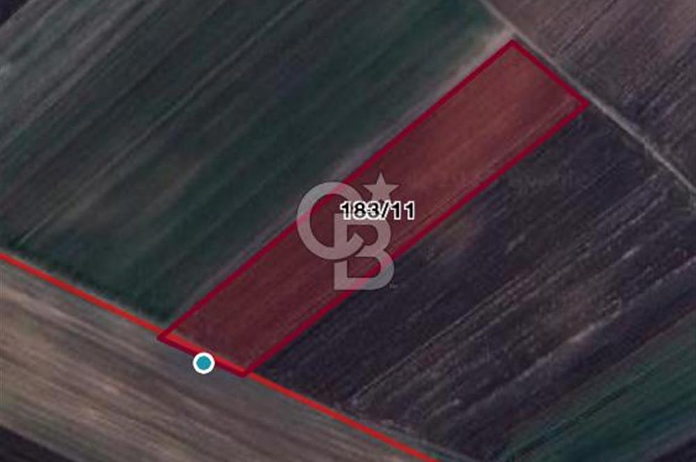 Ergene’de 10200m2 Satılık Tarla