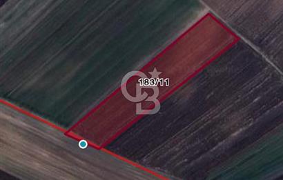 Ergene’de 10200m2 Satılık Tarla