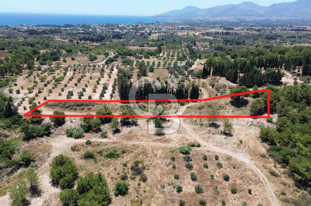 Datça Kızlan’da 6.749 m² Manzaralı Arazi – Yatırım ve Yeni Nesil Yaşam İçin Fırsat