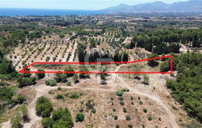 Datça Kızlan’da 6.749 m² Manzaralı Arazi – Yatırım ve Yeni Nesil Yaşam İçin Fırsat