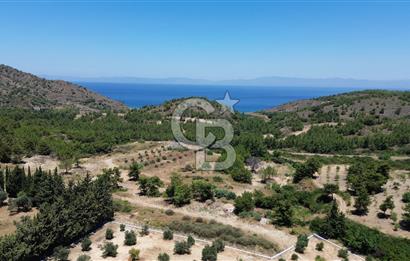 Datça Kızlan’da 6.749 m² Manzaralı Arazi – Yatırım ve Yeni Nesil Yaşam İçin Fırsat