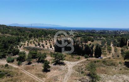 Datça Kızlan’da 6.749 m² Manzaralı Arazi – Yatırım ve Yeni Nesil Yaşam İçin Fırsat