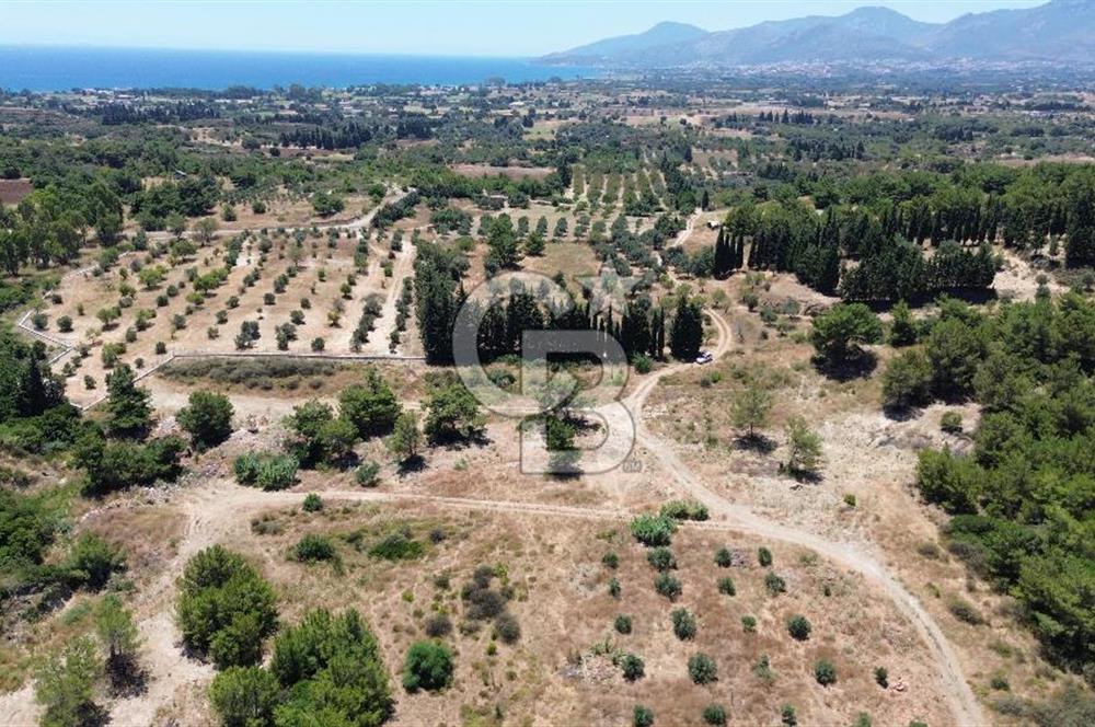 Datça Kızlan’da 6.749 m² Manzaralı Arazi – Yatırım ve Yeni Nesil Yaşam İçin Fırsat