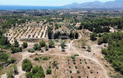 Datça Kızlan’da 6.749 m² Manzaralı Arazi – Yatırım ve Yeni Nesil Yaşam İçin Fırsat