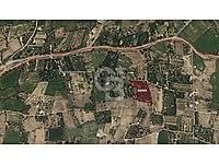 CB ANATOLİA / YEŞİLHİSAR DAĞILGAN'DA 5987m² BAĞ