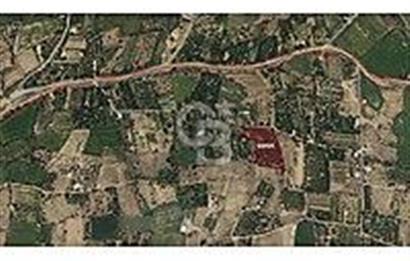 CB ANATOLİA / YEŞİLHİSAR DAĞILGAN'DA 5987m² BAĞ