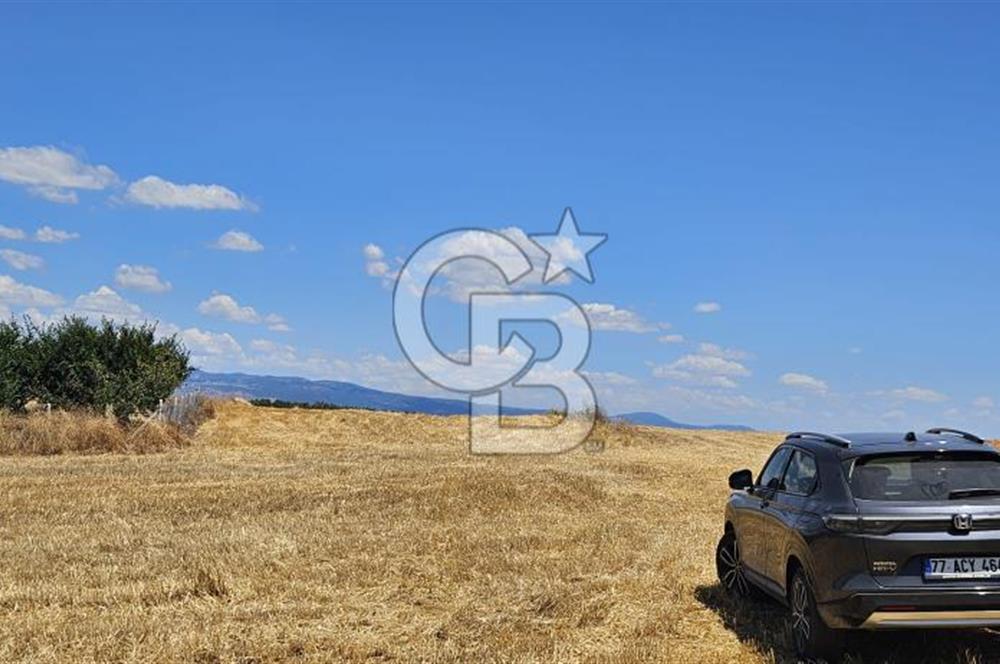Altınova Kaytazdere Beldesinde Satılık 7561 m2 Tarla!