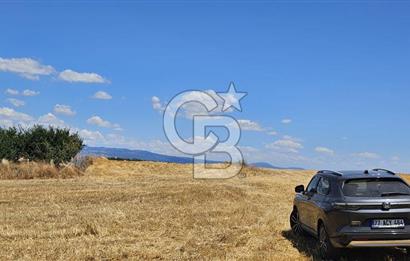 Altınova Kaytazdere Beldesinde Satılık 7561 m2 Tarla!