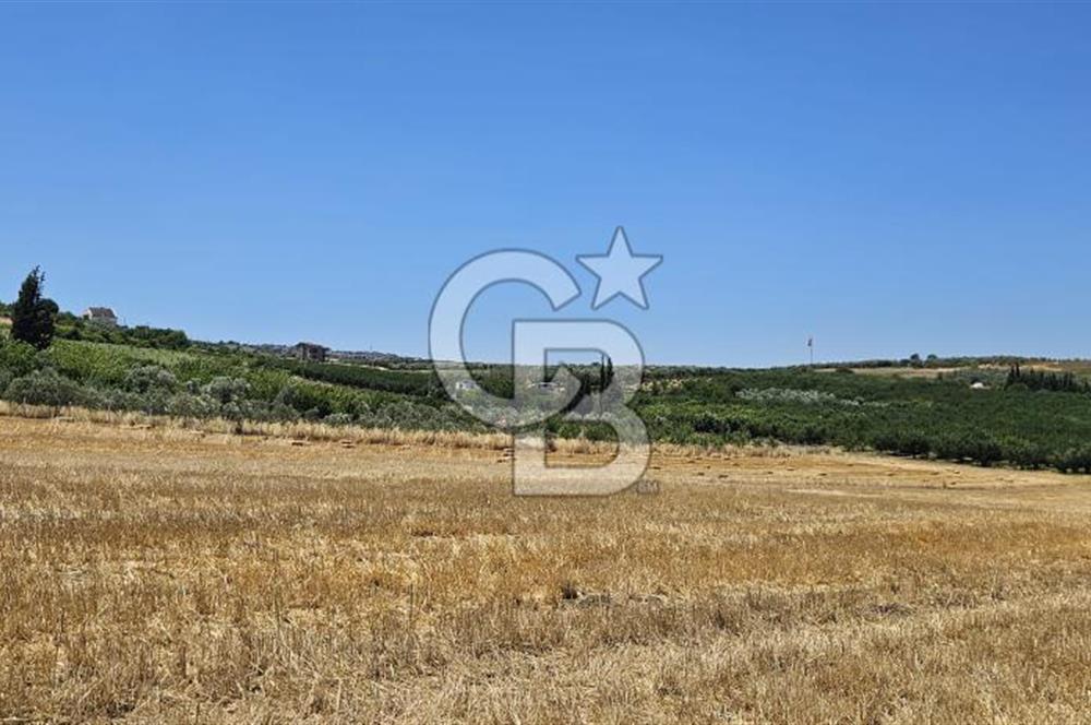 Altınova Kaytazdere Beldesinde Satılık 7561 m2 Tarla!