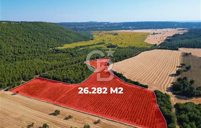 ÇANAKKALE ECEABAT İSMETPAŞA'DA 26 DÖNÜM SATILIK ÜZÜM BAĞI