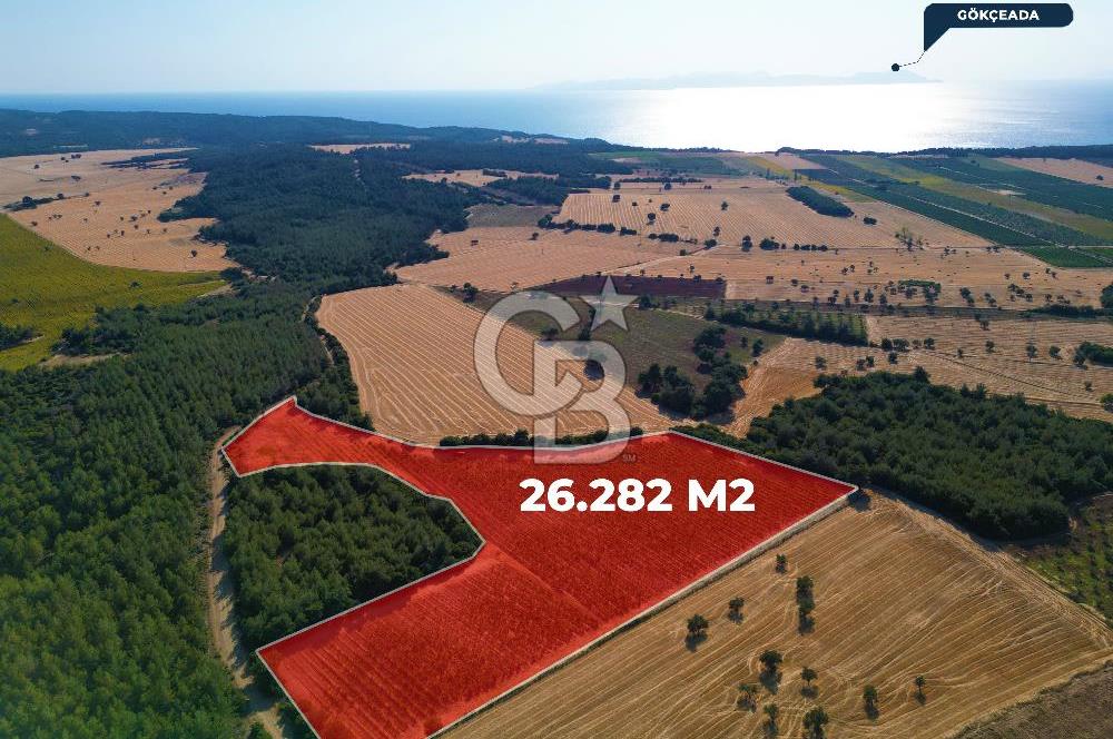 ÇANAKKALE ECEABAT İSMETPAŞA'DA 26 DÖNÜM SATILIK ÜZÜM BAĞI