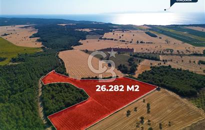 ÇANAKKALE ECEABAT İSMETPAŞA'DA 26 DÖNÜM SATILIK ÜZÜM BAĞI
