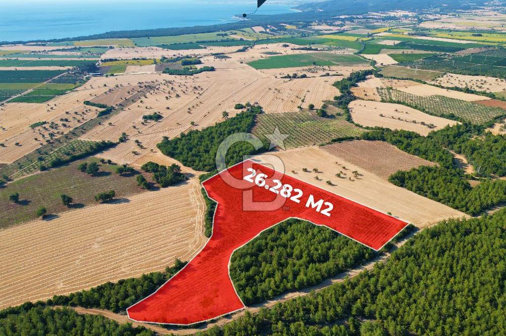 ÇANAKKALE ECEABAT İSMETPAŞA'DA 26 DÖNÜM SATILIK ÜZÜM BAĞI