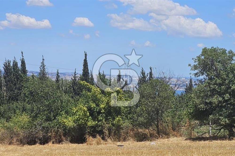 Altınova Kaytazdere Beldesinde Satılık 7561 m2 Tarla!
