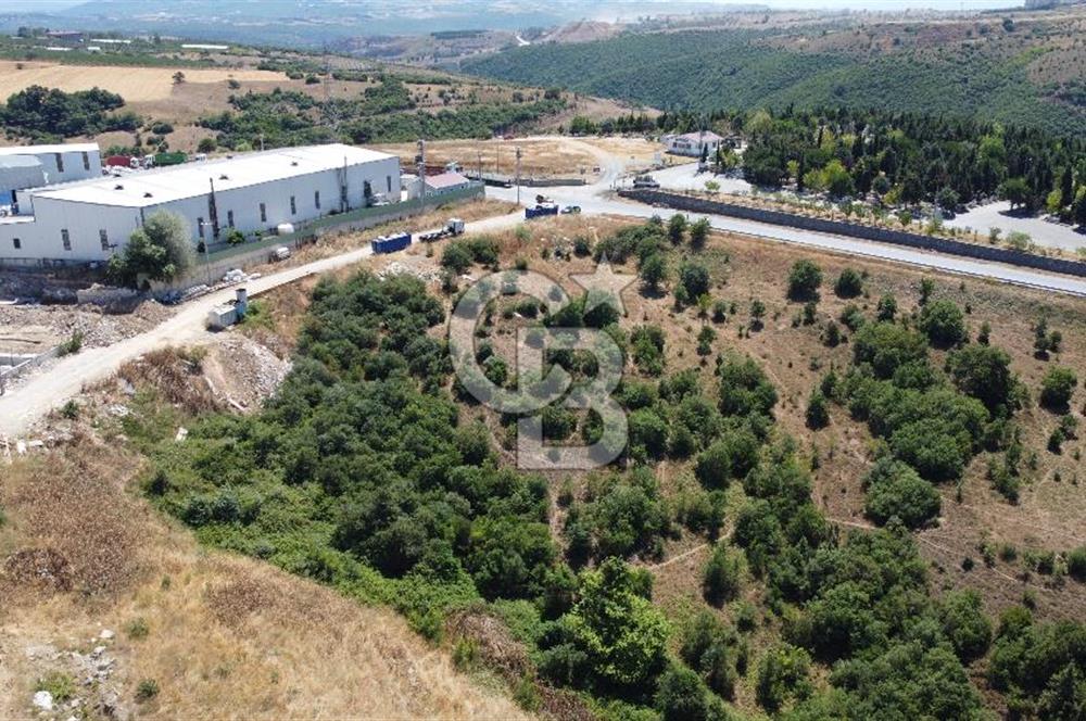 Pelitlide Osb lere Komşu Satılık 0,80 Sanayi/Depolama İmarlıArsa