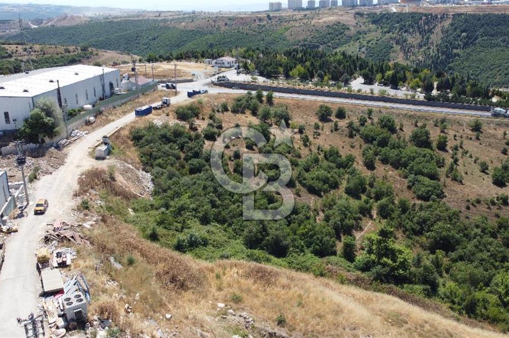 Pelitlide Osb lere Komşu Satılık 0,80 Sanayi/Depolama İmarlıArsa