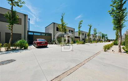 MUSELAND- AVLU SASALI SON 4+1 VİLLA