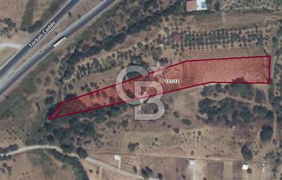 KEMALPASA DEREKÖY'DE 6281 M2 SATILIK TARLA 