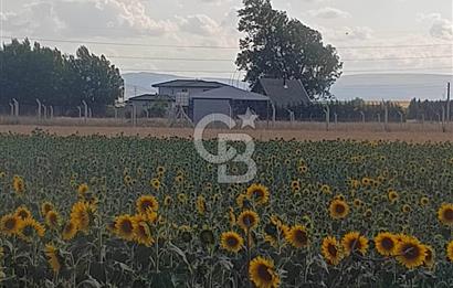 CB CITY'DEN ESKİŞEHİR KESKİN MAHALLESİNDE SATILIK TARLA