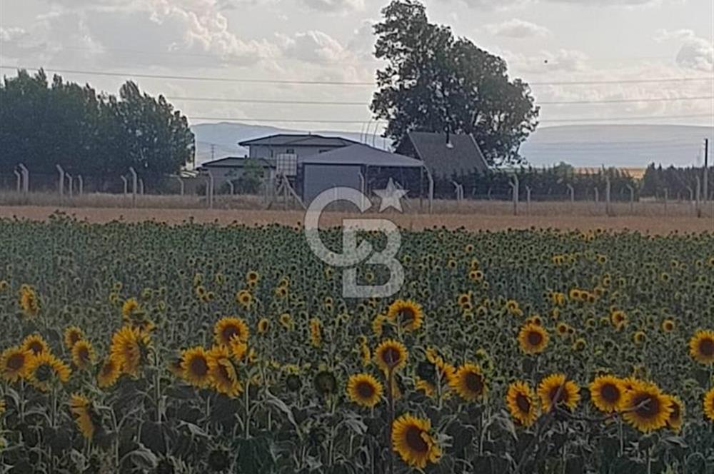 CB CITY'DEN ESKİŞEHİR KESKİN MAHALLESİNDE SATILIK TARLA