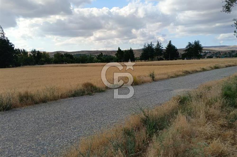 CB CITY'DEN ESKİŞEHİR KESKİN MAHALLESİNDE SATILIK TARLA