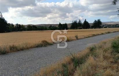 CB CITY'DEN ESKİŞEHİR KESKİN MAHALLESİNDE SATILIK TARLA