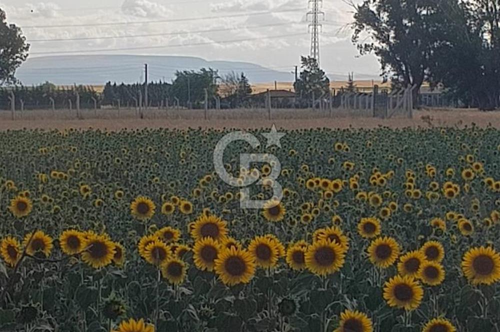 CB CITY'DEN ESKİŞEHİR KESKİN MAHALLESİNDE SATILIK TARLA