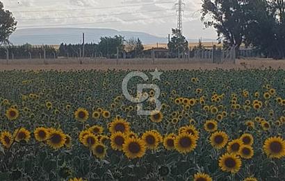 CB CITY'DEN ESKİŞEHİR KESKİN MAHALLESİNDE SATILIK TARLA