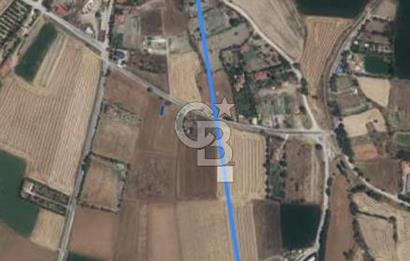 CB CITY'DEN ESKİŞEHİR KESKİN MAHALLESİNDE SATILIK TARLA