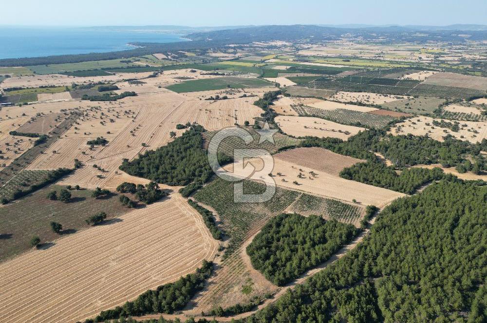 ÇANAKKALE ECEABAT İSMETPAŞA'DA 26 DÖNÜM SATILIK ÜZÜM BAĞI