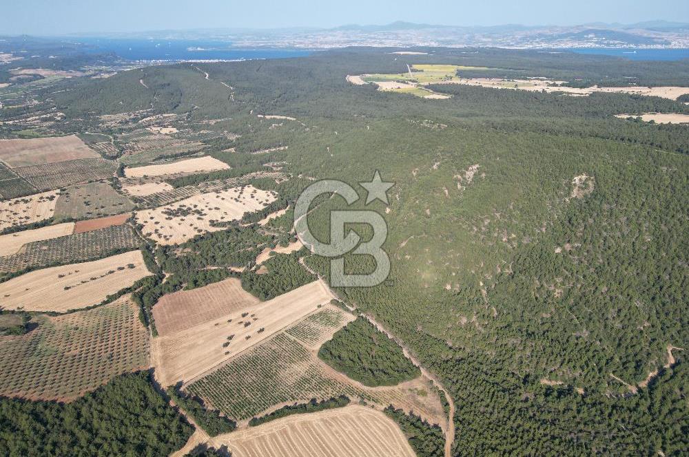ÇANAKKALE ECEABAT İSMETPAŞA'DA 26 DÖNÜM SATILIK ÜZÜM BAĞI