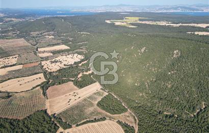 ÇANAKKALE ECEABAT İSMETPAŞA'DA 26 DÖNÜM SATILIK ÜZÜM BAĞI