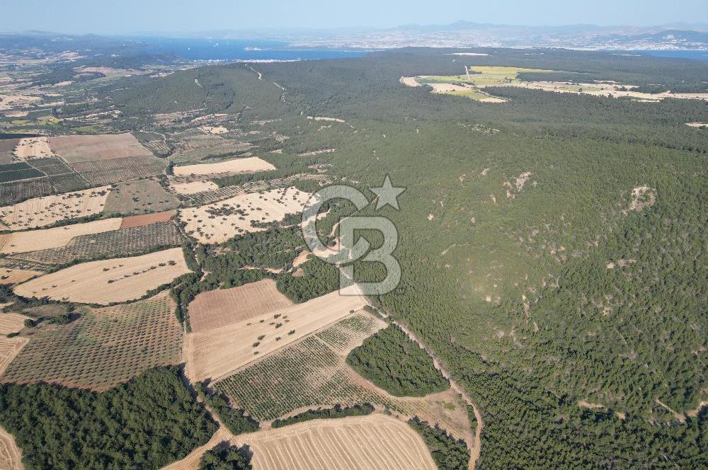 ÇANAKKALE ECEABAT İSMETPAŞA'DA 26 DÖNÜM SATILIK ÜZÜM BAĞI