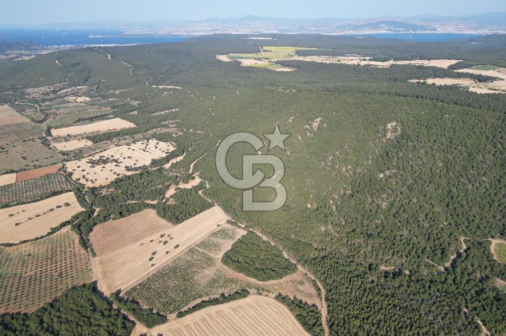 ÇANAKKALE ECEABAT İSMETPAŞA'DA 26 DÖNÜM SATILIK ÜZÜM BAĞI