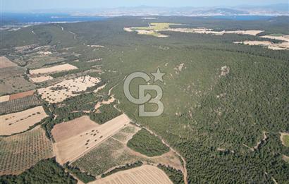 ÇANAKKALE ECEABAT İSMETPAŞA'DA 26 DÖNÜM SATILIK ÜZÜM BAĞI