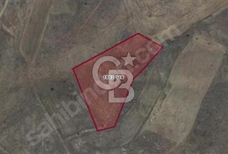 CB PRESTİJ ÖMER ÜNSAL'DAN KÖY YAKINI 6811 m² EKİLEBİLİR PARSEL
