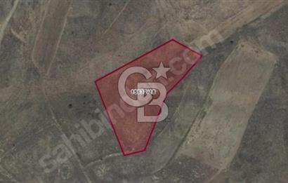 CB PRESTİJ ÖMER ÜNSAL'DAN KÖY YAKINI 6811 m² EKİLEBİLİR PARSEL