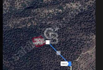 CB ÖMER ÜNSALDAN ULTRA ACİL SATILIK 104 m2 ZEYTİNLİK