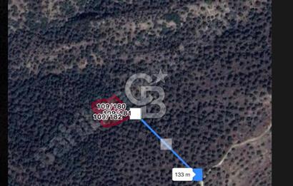 CB ÖMER ÜNSALDAN ULTRA ACİL SATILIK 104 m2 ZEYTİNLİK