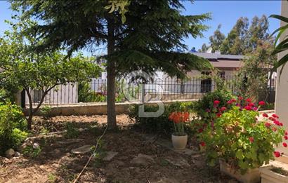 Bodrum Marinaya Yakın Satılık Villa