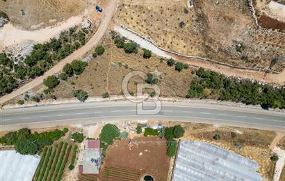CB ARDENDEN ANTALYA DEMRE YAVUDA 1217 M2 SATILIK TARLA