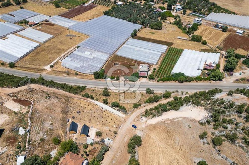 CB ARDENDEN ANTALYA DEMRE YAVUDA 1217 M2 SATILIK TARLA
