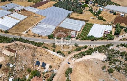 CB ARDENDEN ANTALYA DEMRE YAVUDA 1217 M2 SATILIK TARLA