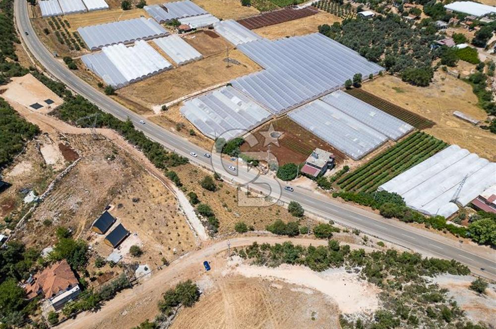 CB ARDENDEN ANTALYA DEMRE YAVUDA 1217 M2 SATILIK TARLA