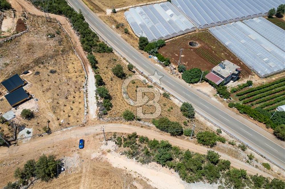 CB ARDENDEN ANTALYA DEMRE YAVUDA 1217 M2 SATILIK TARLA