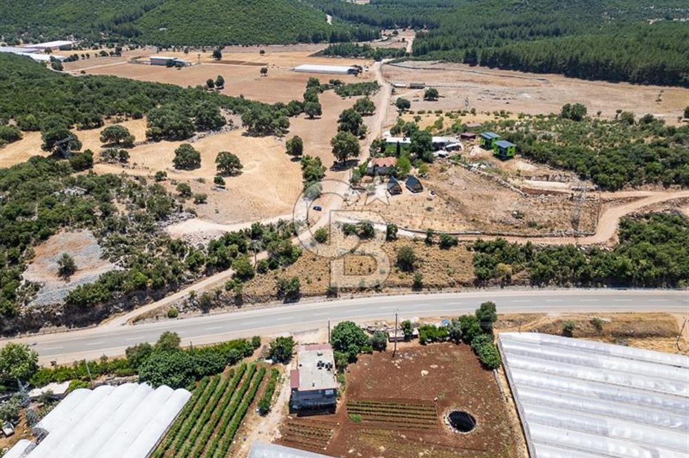 CB ARDENDEN ANTALYA DEMRE YAVUDA 1217 M2 SATILIK TARLA