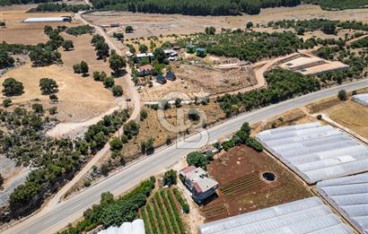 CB ARDENDEN ANTALYA DEMRE YAVUDA 1217 M2 SATILIK TARLA