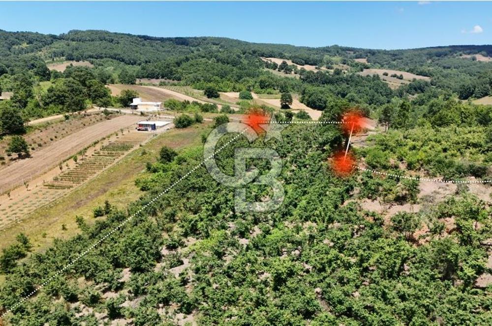 CB TAN-KOCAELİ/İZMİT/ŞAHİNLER FINDIKLIK YERLEŞİM DİBİNDE ASFALT YOLLU 12923M2 SATILIK ARSA